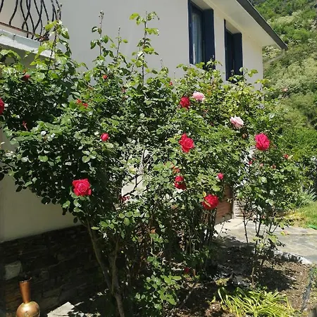 Bed & Breakfast Les Rosiers Bagneres-de-Luchon